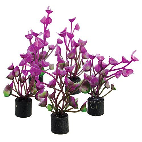 Underwater Treasures Mini Plant Purple Ear - 2.25" - 5 pk  