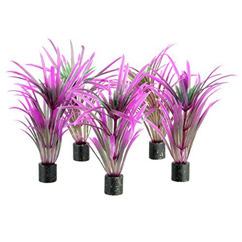 Underwater Treasures Mini Plant - Purple Grass - 3" - 5 pk  