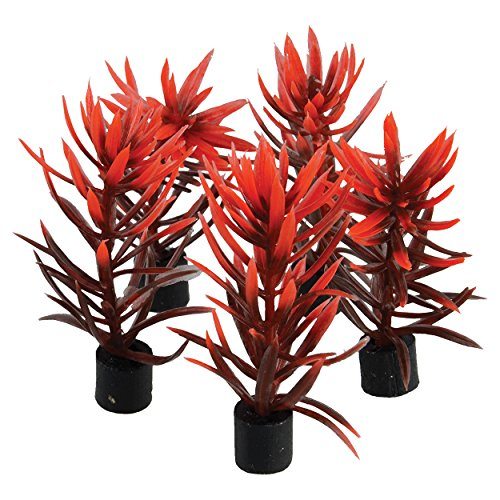 Underwater Treasures Mini Plant - Red and Brown - 3" - 5 pk  