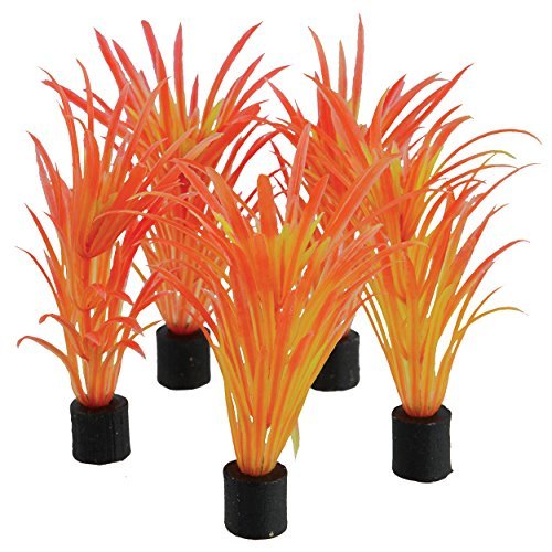 Underwater Treasures Mini Plant - Sea Grass - 3.25" - 5 pk  