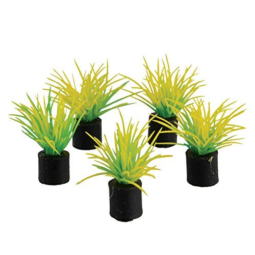 Underwater Treasures Mini Plant - Spring Grass - 1.25