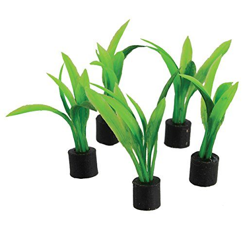 Underwater Treasures Mini Plant Sword - Large - 2.75