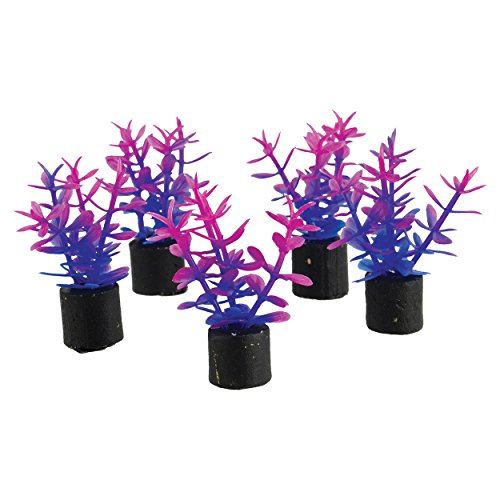 Underwater Treasures Mini Plant - Violet - 1.5" - 5 pk  