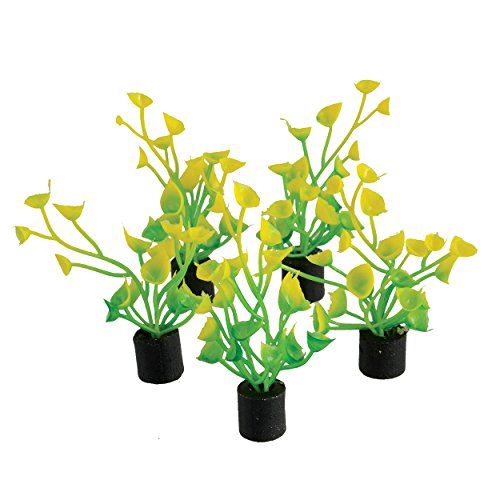 Underwater Treasures Mini Plant - Yellow and Green - 2" - 5 pk