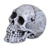 Underwater Treasures Mini Skull  