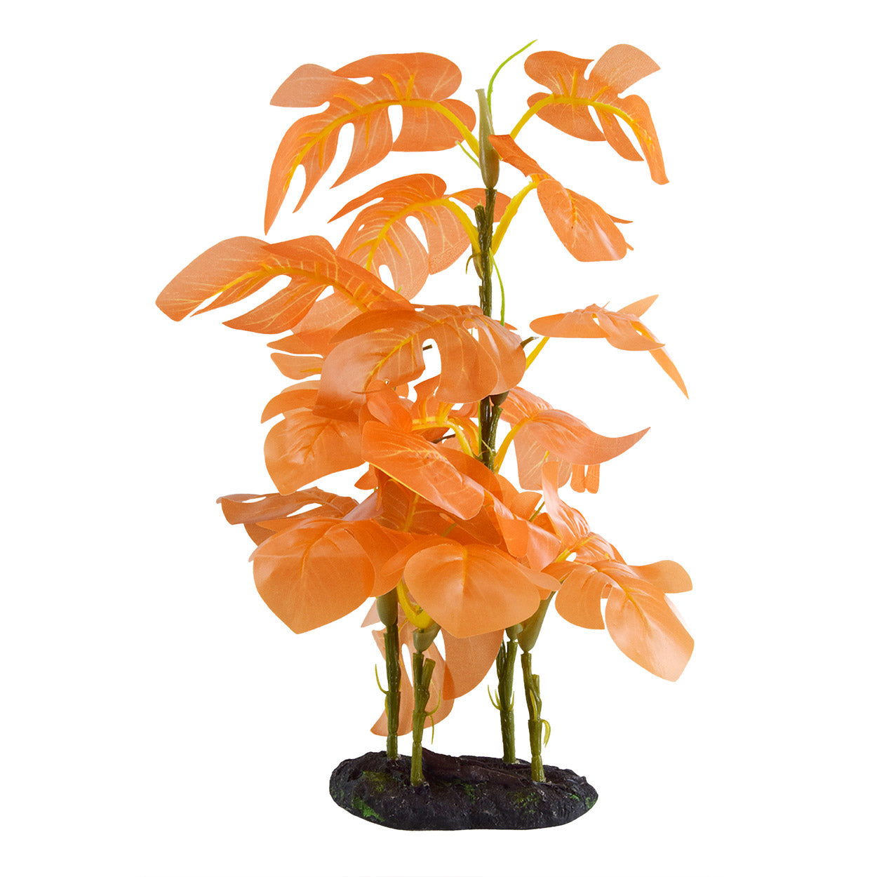 Underwater Treasures Monstera - Orange - Large  