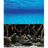 Underwater Treasures Oceanscape/Mystic Lake Reversible Background - 24" - Sold by the Foot - 50 Feet  