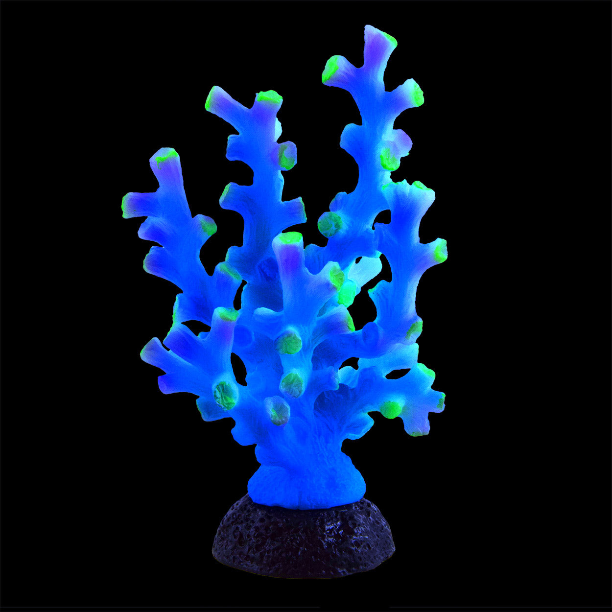 Underwater Treasures Octo Coral - Blue  