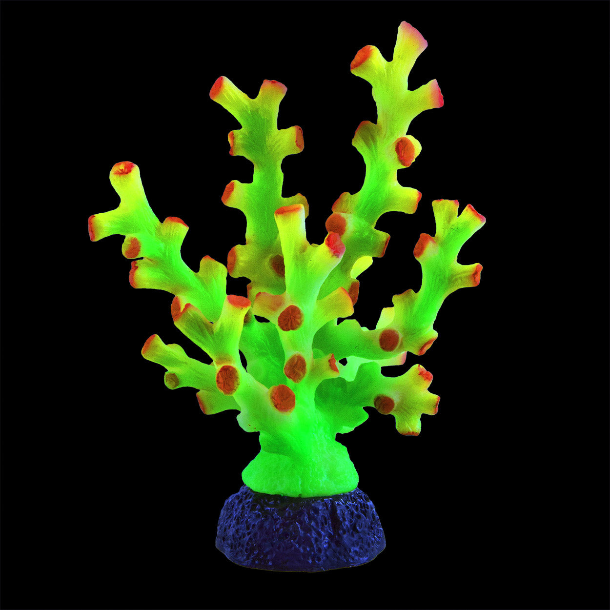 Underwater Treasures Octo Coral - Green  