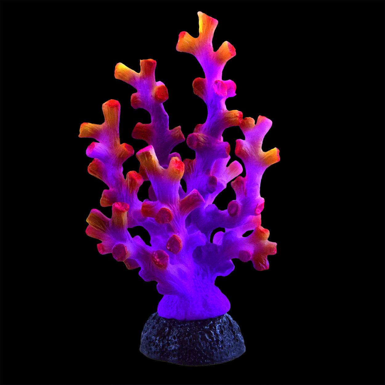 Underwater Treasures Octo Coral - Purple  