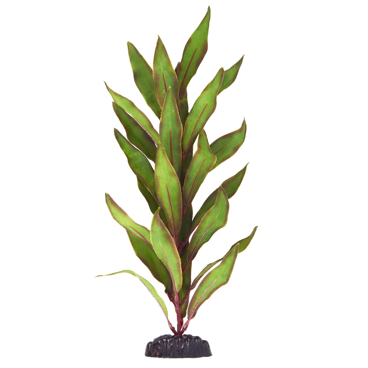 Underwater Treasures Olive Hygro - 12"  
