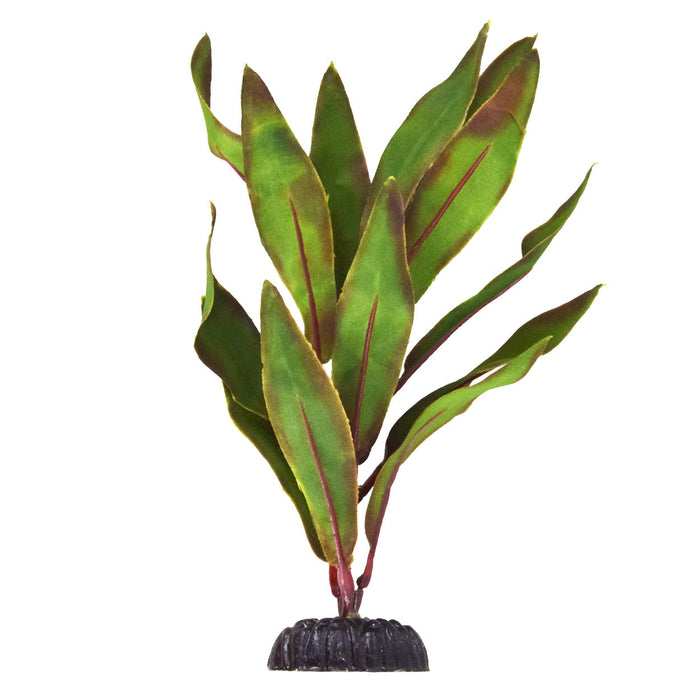 Underwater Treasures Olive Hygro - 8"