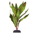 Underwater Treasures Olive Hygro - 8"  