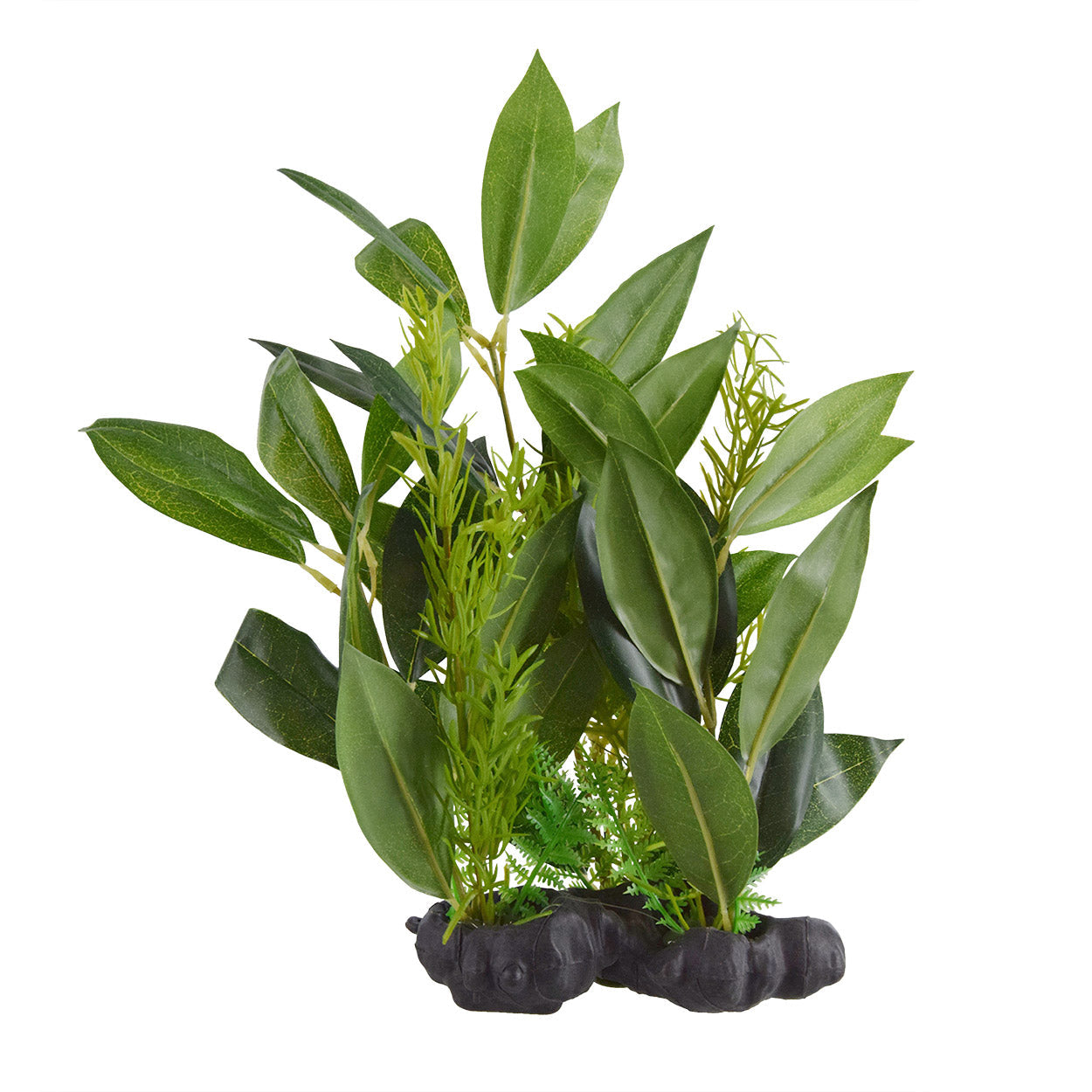 Underwater Treasures Olive Tree  