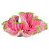 Underwater Treasures Open Brain Coral - Pink - Small  