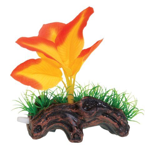 Underwater Treasures Orange Broad Leaf Mini Log - Pack of 6  