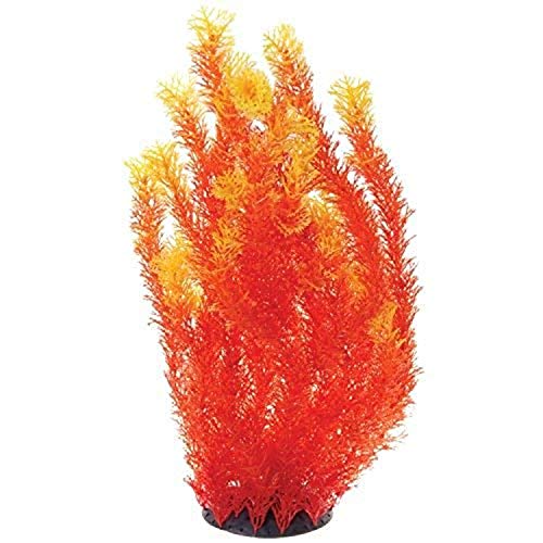 Underwater Treasures Orange Cabomba - 20"  