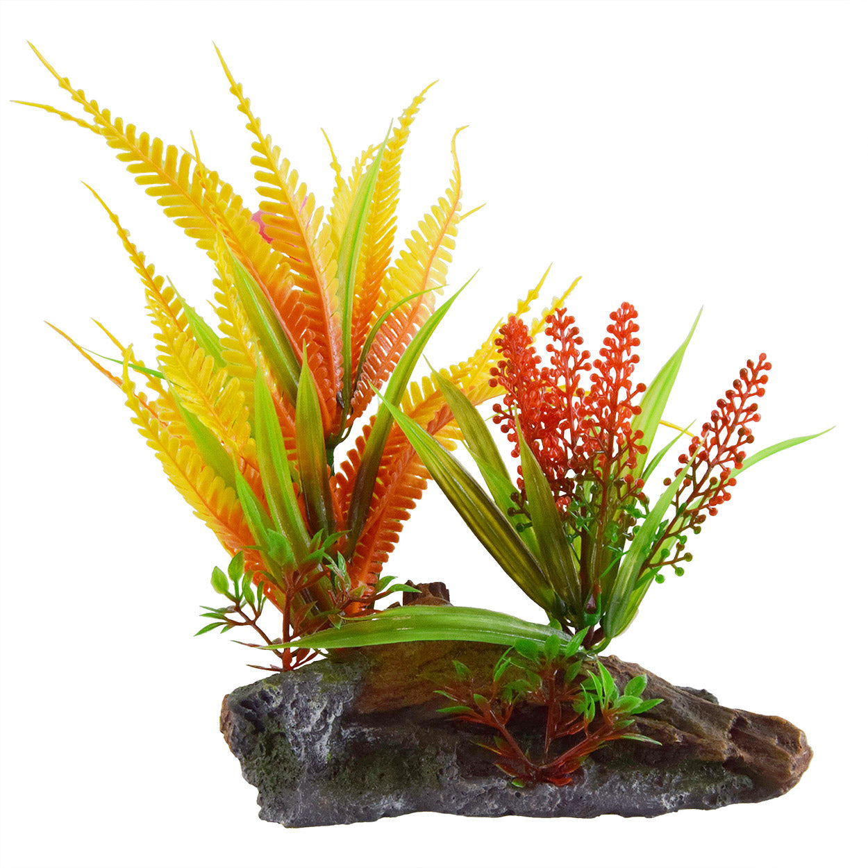 Underwater Treasures Orange Fern On Root  