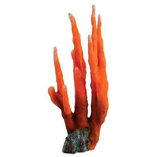 Underwater Treasures Orange Finger Coral  