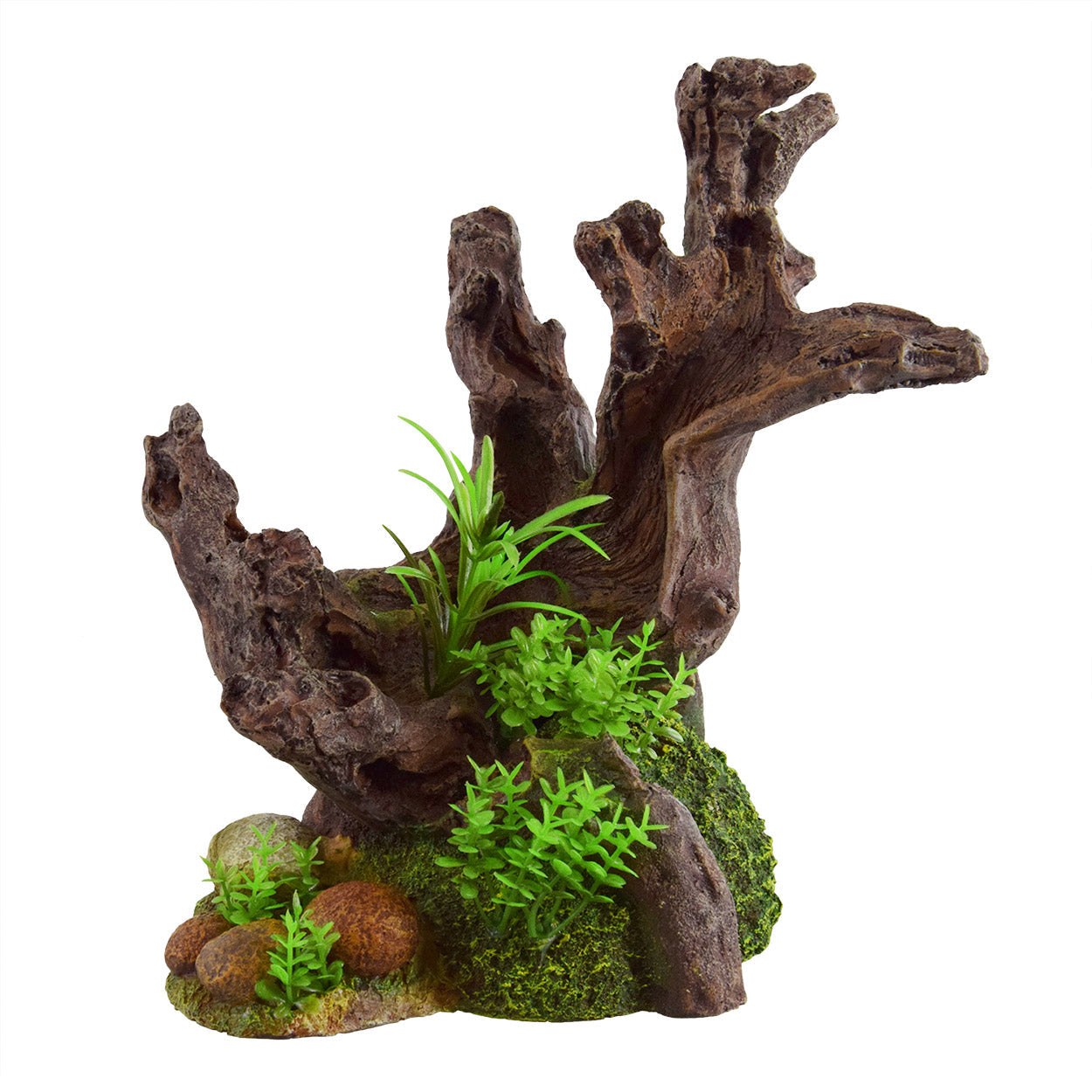 Underwater Treasures Overgrown Stump  