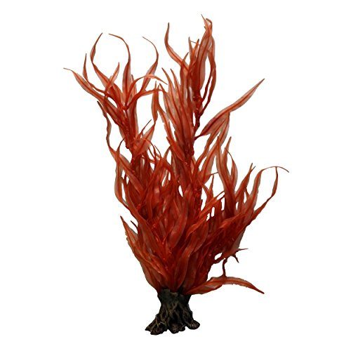 Underwater Treasures Pacific Coast Orange Kelp - 24