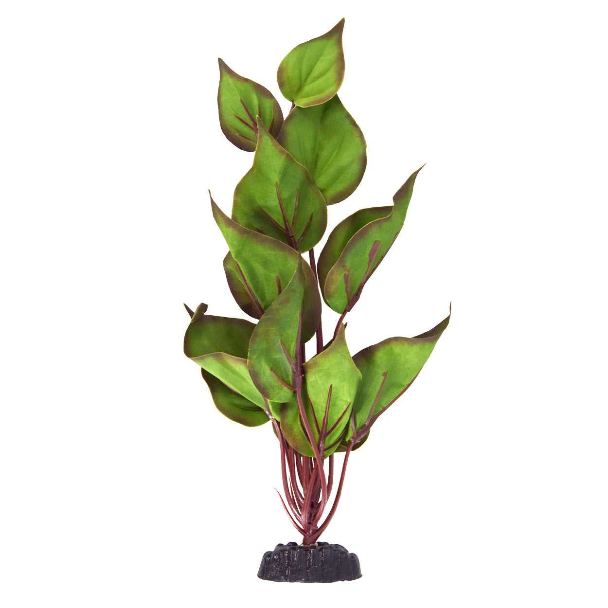 Underwater Treasures Peace Lily - 12"  