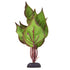 Underwater Treasures Peace Lily - 8"  