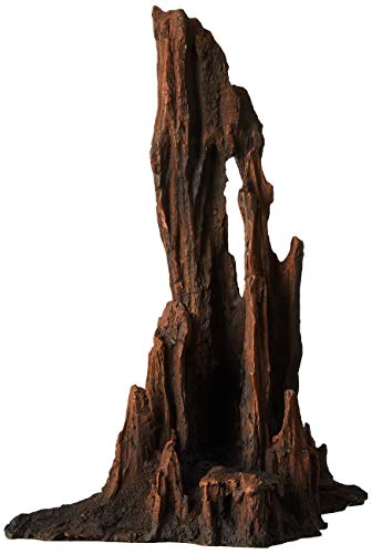 Underwater Treasures Petrified Wood - Large  