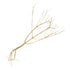 Underwater Treasures Photinia Wood - Medium  