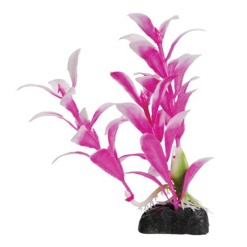 Underwater Treasures Pink Egeria - 4.5" - Pack of 6  