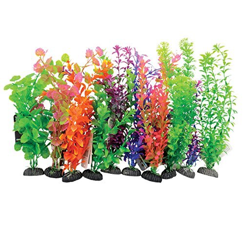 Underwater Treasures Plant on Rock Mixed - Large - 10 pk  