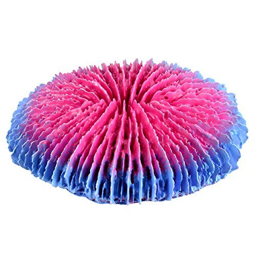 Underwater Treasures Plate Coral - Pink - Small  