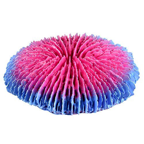 Underwater Treasures Plate Coral - Pink - Small