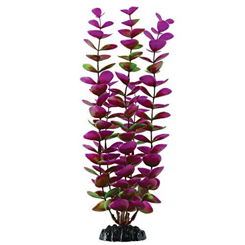 Underwater Treasures Plum Bacopa - 11