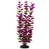 Underwater Treasures Plum Bacopa - 11"  