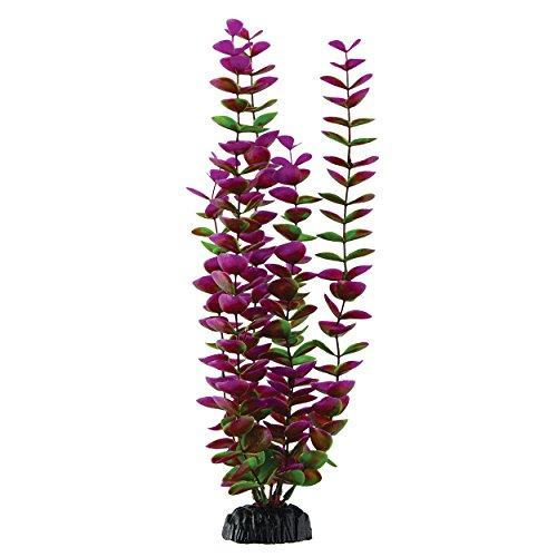 Underwater Treasures Plum Bacopa - 14.5"  