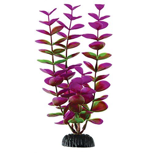 Underwater Treasures Plum Bacopa - 8"  