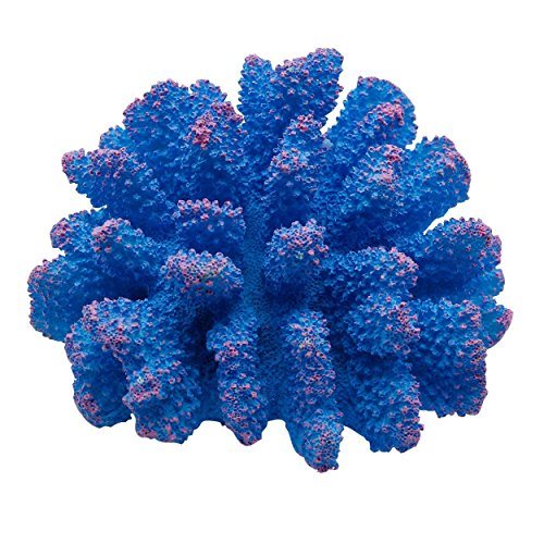 Underwater Treasures Polyped Coral - Blue