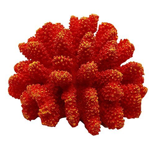 Underwater Treasures Polyped Coral - Red