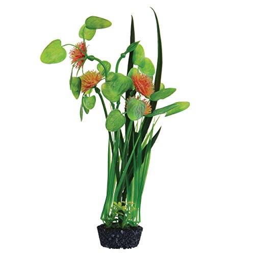Underwater Treasures Pom Pom Lily - Orange - 12