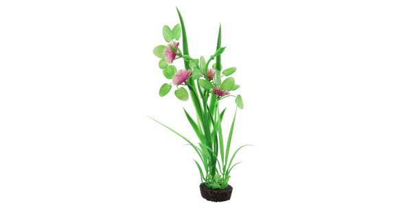 Underwater Treasures Pom Pom Lily - Purple  