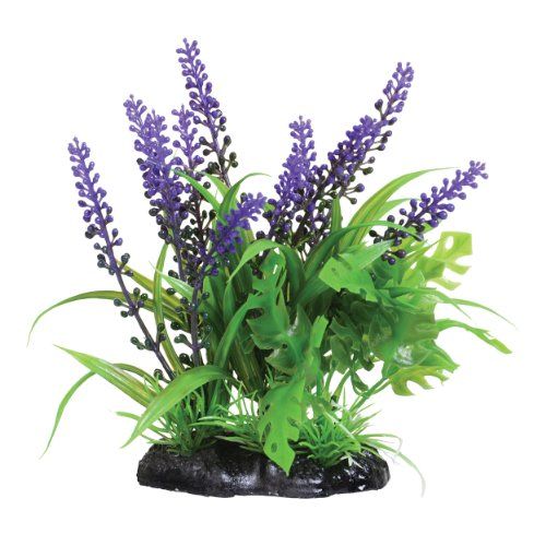Underwater Treasures Purple Passion - 6"  