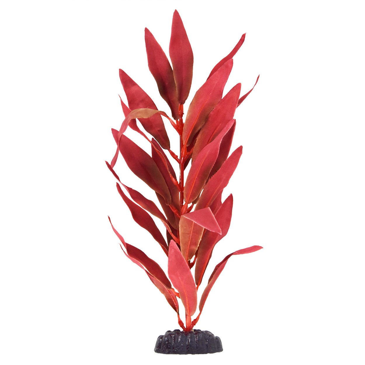 Underwater Treasures Red Hygro - 12"  