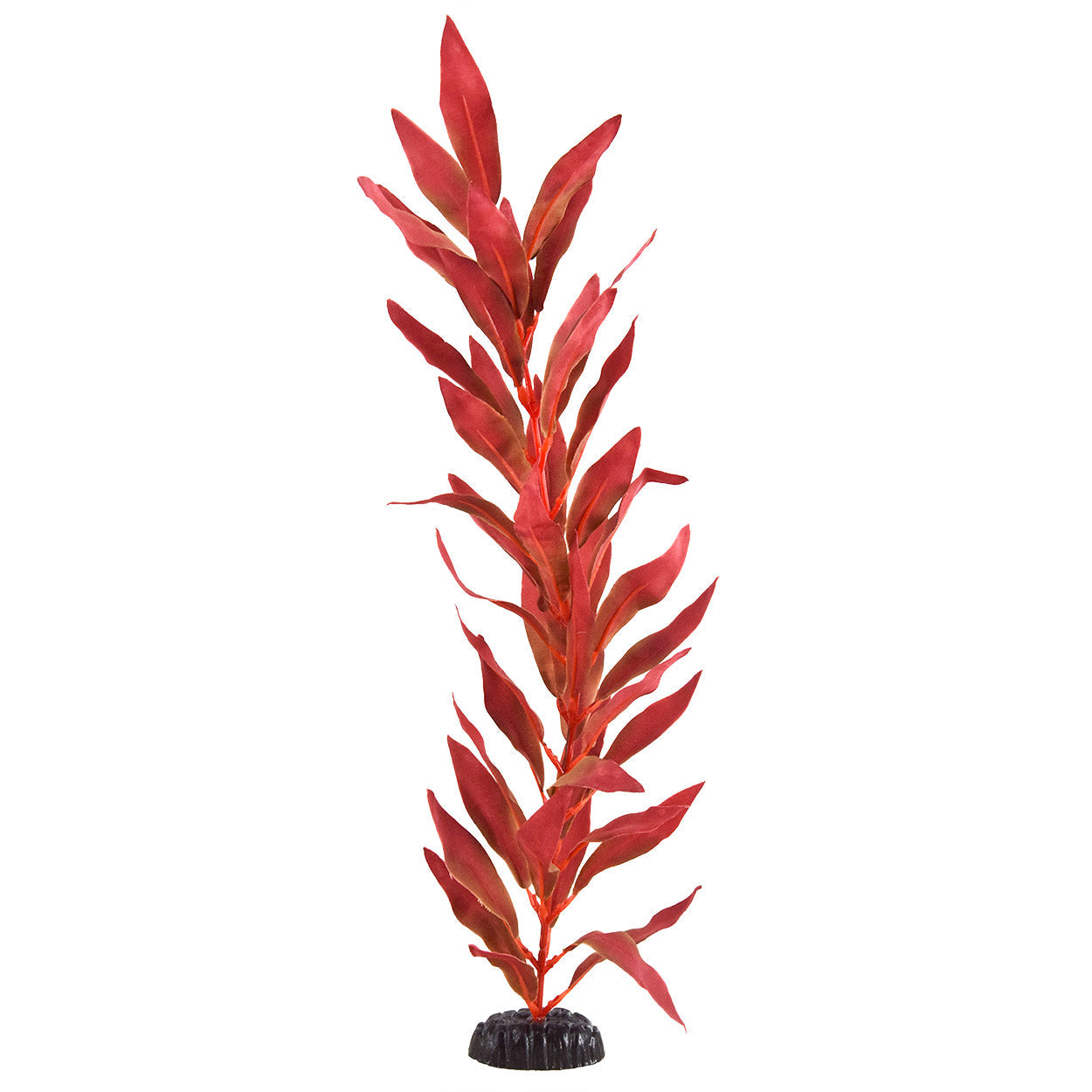 Underwater Treasures Red Hygro - 20