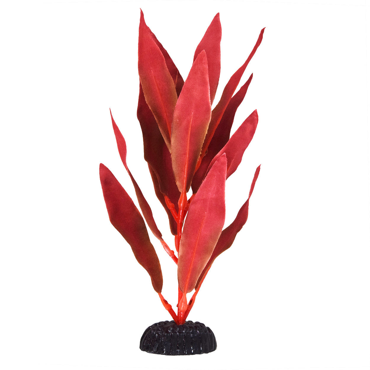 Underwater Treasures Red Hygro - 8"  