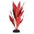 Underwater Treasures Red Hygro - 8"  