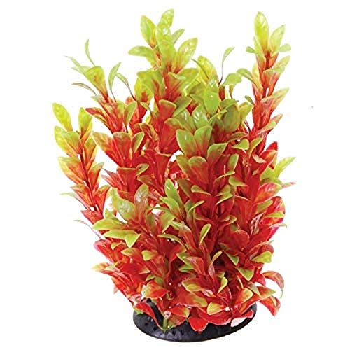 Underwater Treasures Red Ludwigia - 10"  