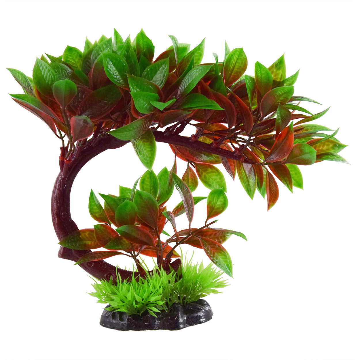 Underwater Treasures Red Ludwigia Bonsai  