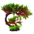 Underwater Treasures Red Ludwigia Bonsai  