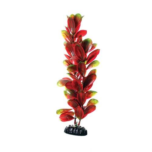 Underwater Treasures Red/Green Bacopa - 12"  